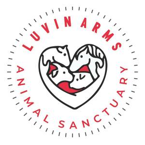 Event Home: Luvin Arms Virtual 5th Annual Gala